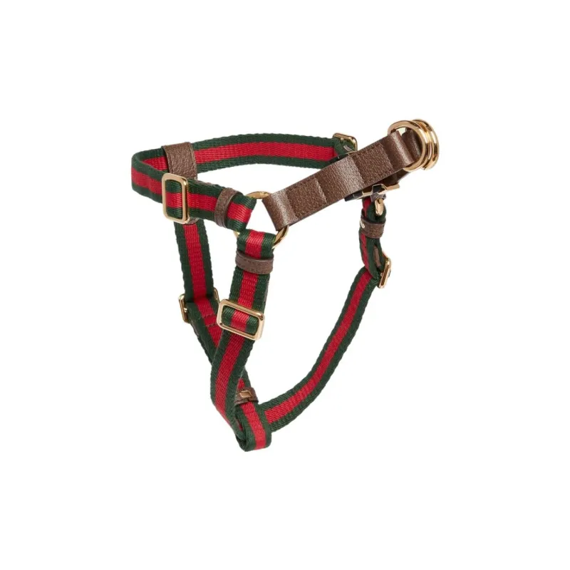 GUCCI Leashes-1