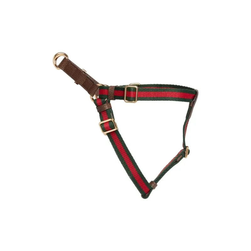 GUCCI Leashes-1