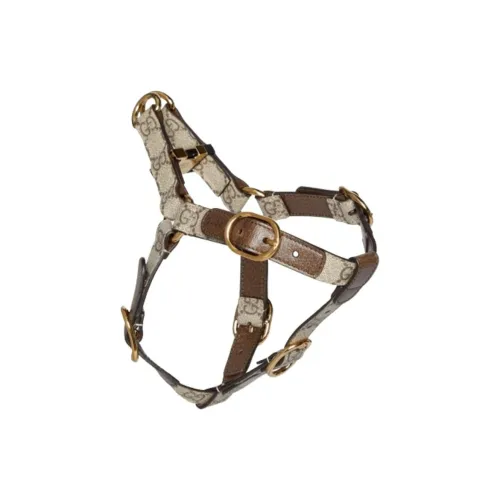 GUCCI Leashes