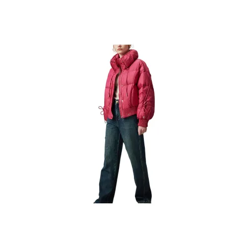 DFVC Down Jackets Women's Rose Red