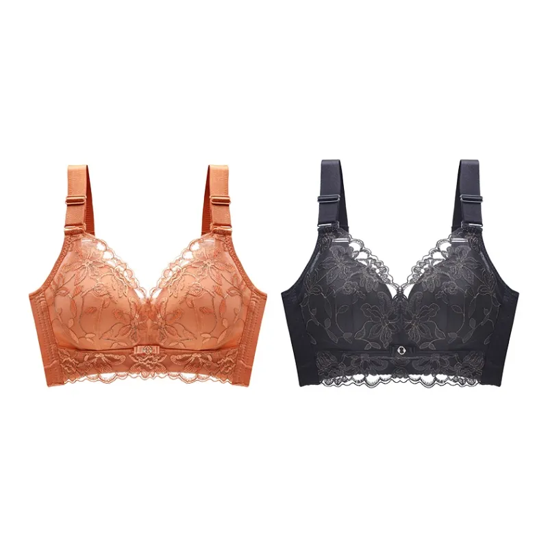 Lanza The Year Of The Dragon Series Bra Women's 1 Pack-122