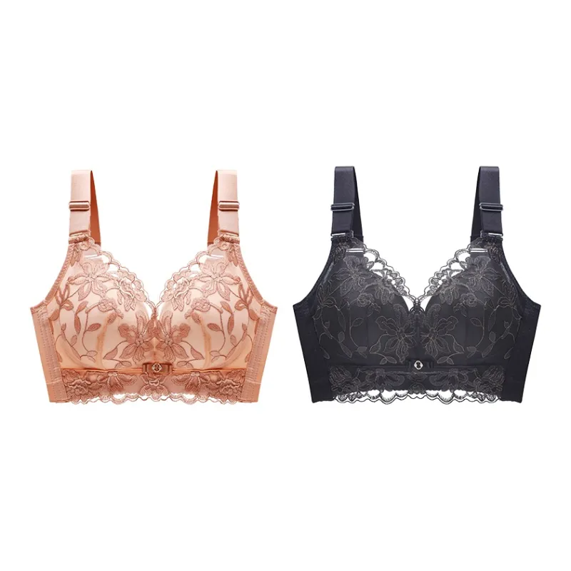 Lanza The Year Of The Dragon Series Bra Women's 1 Pack-162