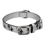 Shimmery Silver Collar