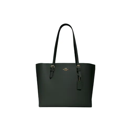COACH Mollie Double Sided Leather Mommy Bag Tote Bag Shopping Bag Handbag Shoulder Bag Large Size Women's Amazon Green