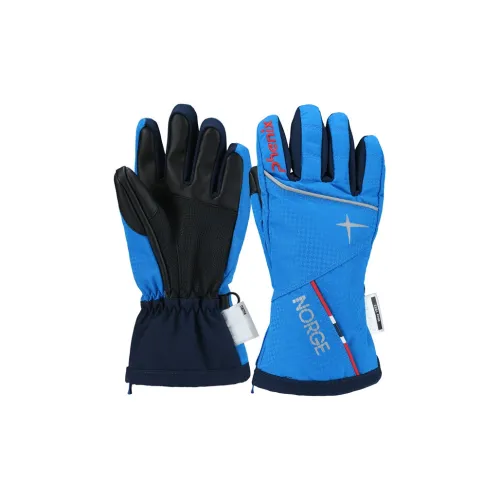 Phenix Ski Gloves