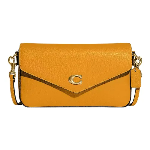 COACH Wyn Crossbody Bags