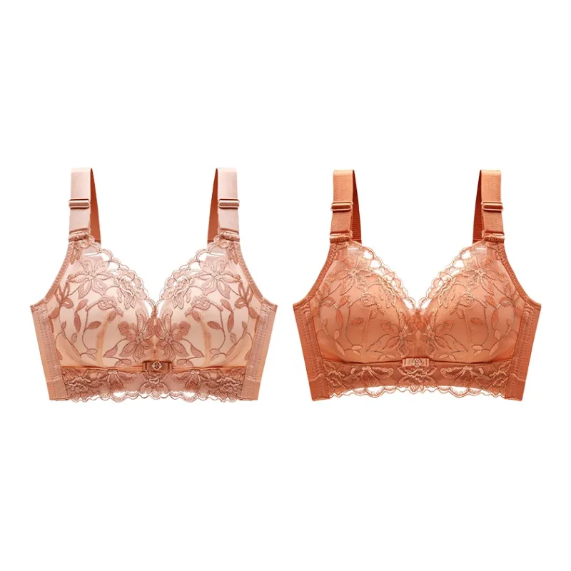 Lanza The Year Of The Dragon Series Bra Women's 1 Pack-112