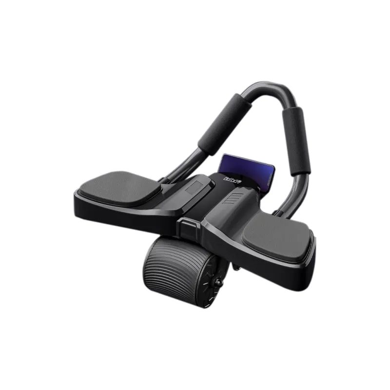 LEACCO Abdominal Rollers-0