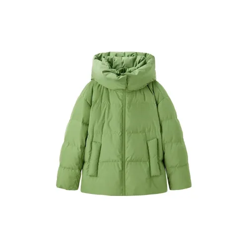 LEDIN Down Jackets Women's Green