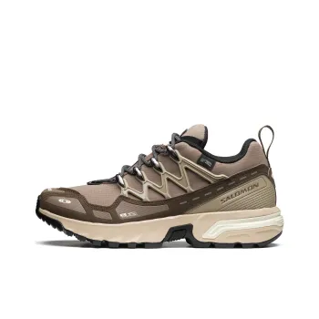 SALOMON Acs + Cswp 'Falcon'