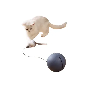 Kimpets Pet Toys