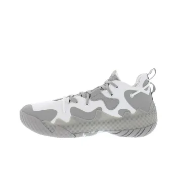 Adidas Harden Volume 6 'White Grey'