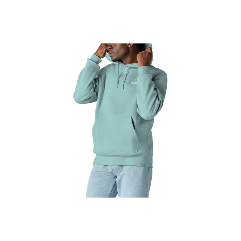 Dickies Hays Graphic Hoodie Sweatshirt Men's Light Green-2