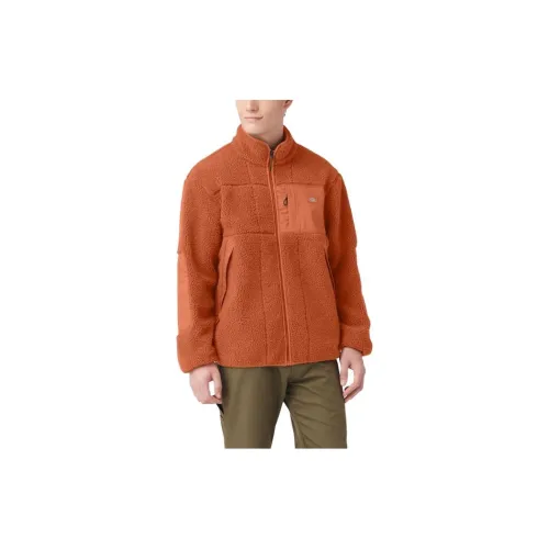 Dickies Jackets Men Orange