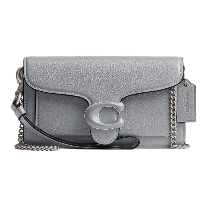 COACH Tabby Leather Envelope Bag Shoulder Bag Crossbody Bag Small Size Women's Silver & Gray Blue-0