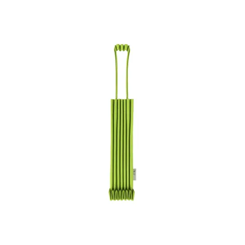 ISSEY MIYAKE Polyester Handbag Mini Women's Apple Green