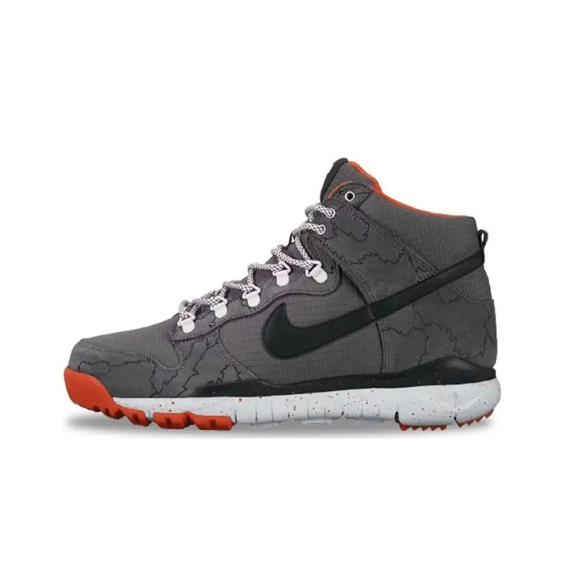 Nike Sb Dunk High R/R Poler-0
