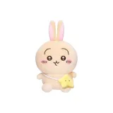 Usagi