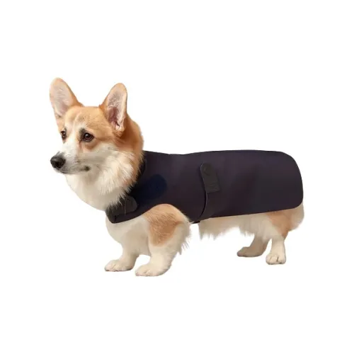 HERMES Pet Clothing