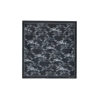 LONGCHAMP Silk Scarves Women's Gray