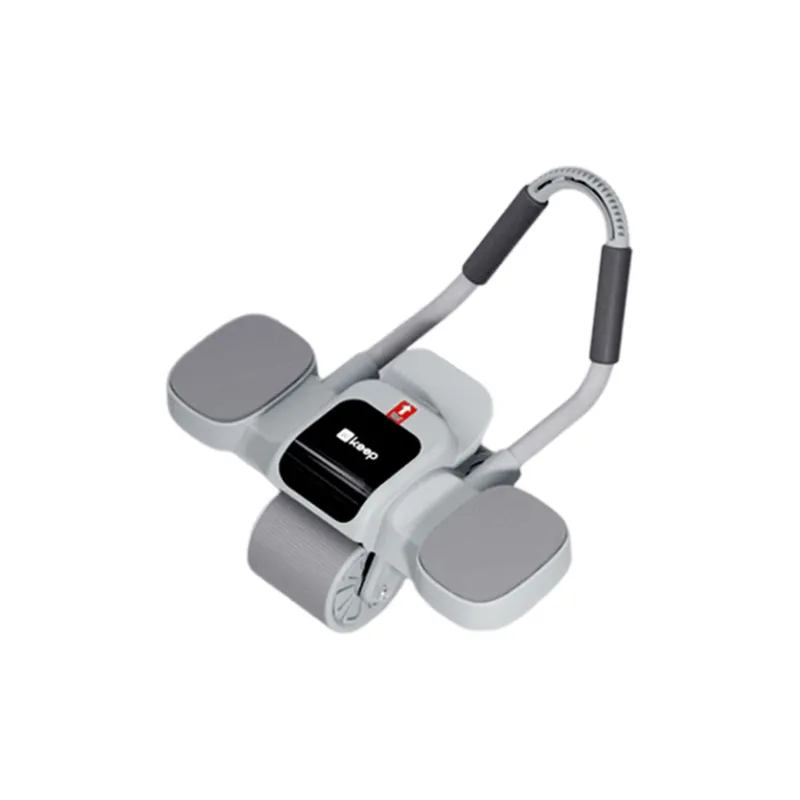 Keep Abdominal Rollers-3