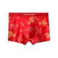 [OK2227 Year of The Dragon Zodiac Year]Auspicious Dragon and Phoenix