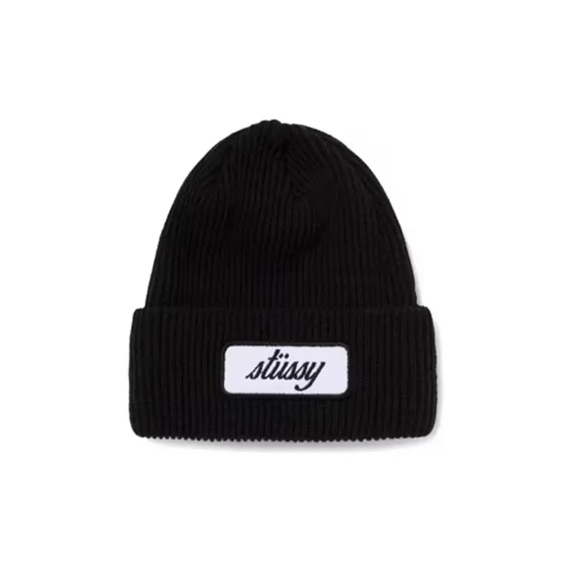 Stussy Big Basic Thinsulate Beanie-0