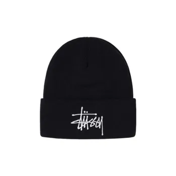 Stussy Big Basic Thinsulate Beanie