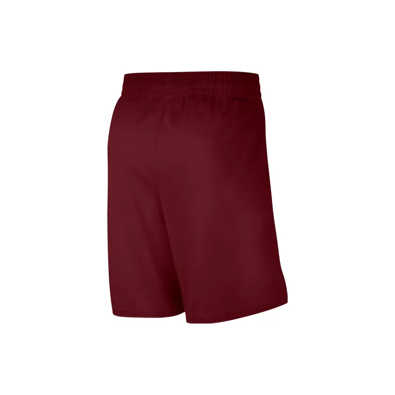 Nike Cleveland Cavaliers Icon Edition Men's Nike Dri-FIT Nba Swingman Shorts-1