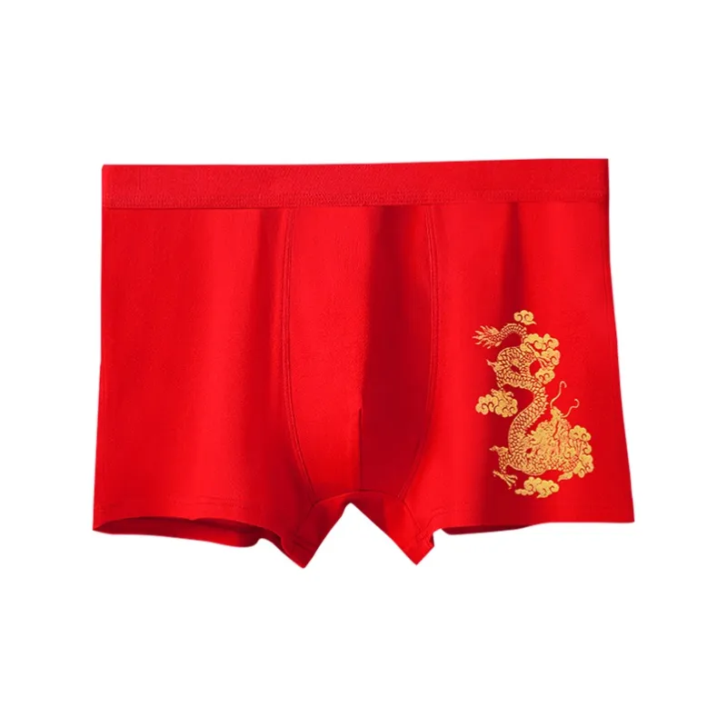 Lanza Underpants Men's 2 Pack+2 Pack Socks-4