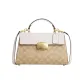 Bag+Dust Bag