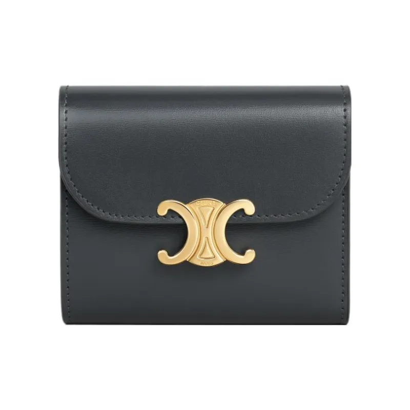 CELINE Triomphe Shiny Cow Leather Wallet Small Size Women's Stone Gray-0