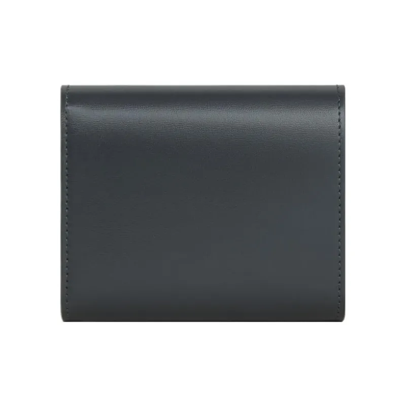 CELINE Triomphe Shiny Cow Leather Wallet Small Size Women's Stone Gray-2
