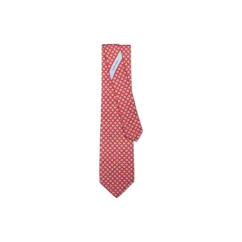 Ferragamo Ties Men