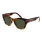 Tortoiseshell