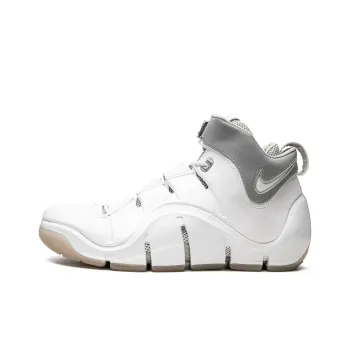 Nike LeBron 4 White Chrome