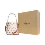 Bag+Dust Bag+Yellow Box