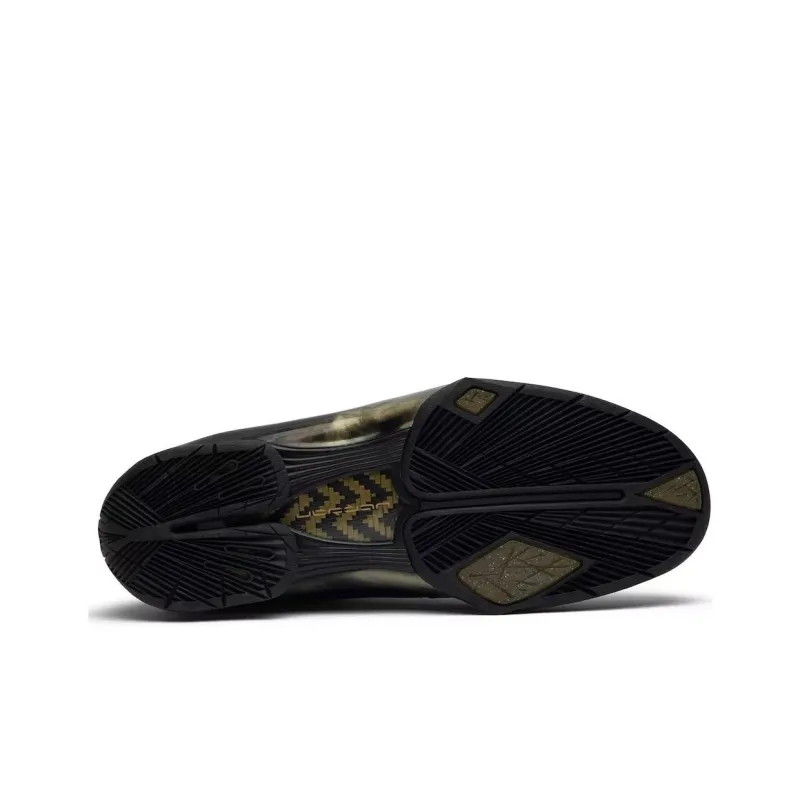 Jordan 2009 S23-4