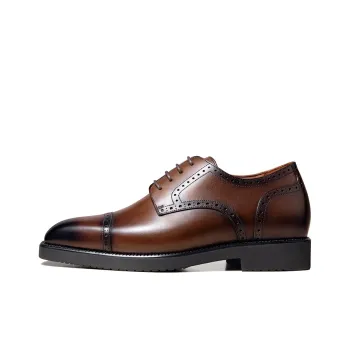 Zuti Brogue Embroidered Calfskin Derby Shoes Dress Shoes Men's Dark Brown Matte