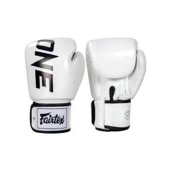 FAIRTEX Boxing Gloves