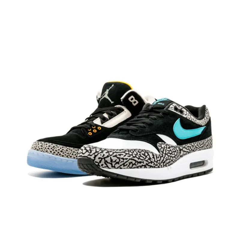 Jordan 3 Retro & Nike Air Max 1 Atmos Pack-2