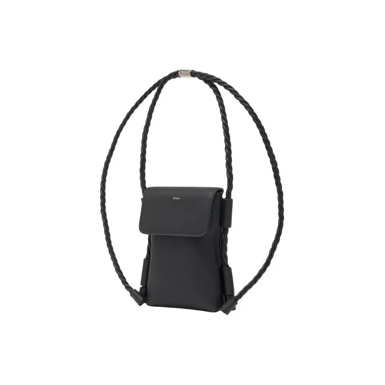 Chloé Bags Clutches-2