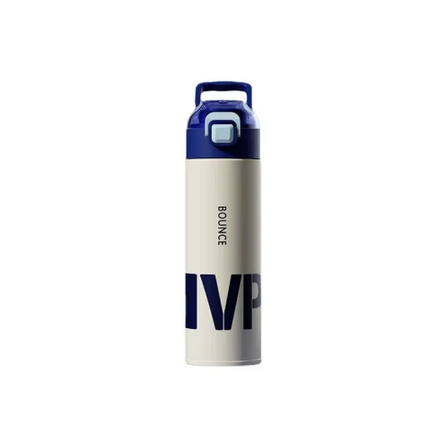 MEEJAS Outdoor Water Equipment Water Container 500ml Stainless Steel
