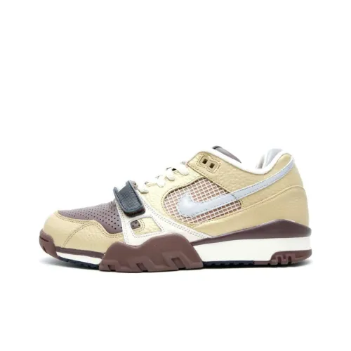 Nike Air Trainer 2 SB Metallic Gold/Reflect Silver