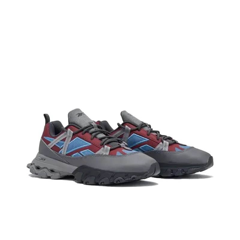 Reebok Dmx Trail Shadow 'Cloud Grey Burgundy Steel Blue'-1