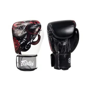 FAIRTEX Boxing Gloves