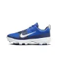 Blue/White