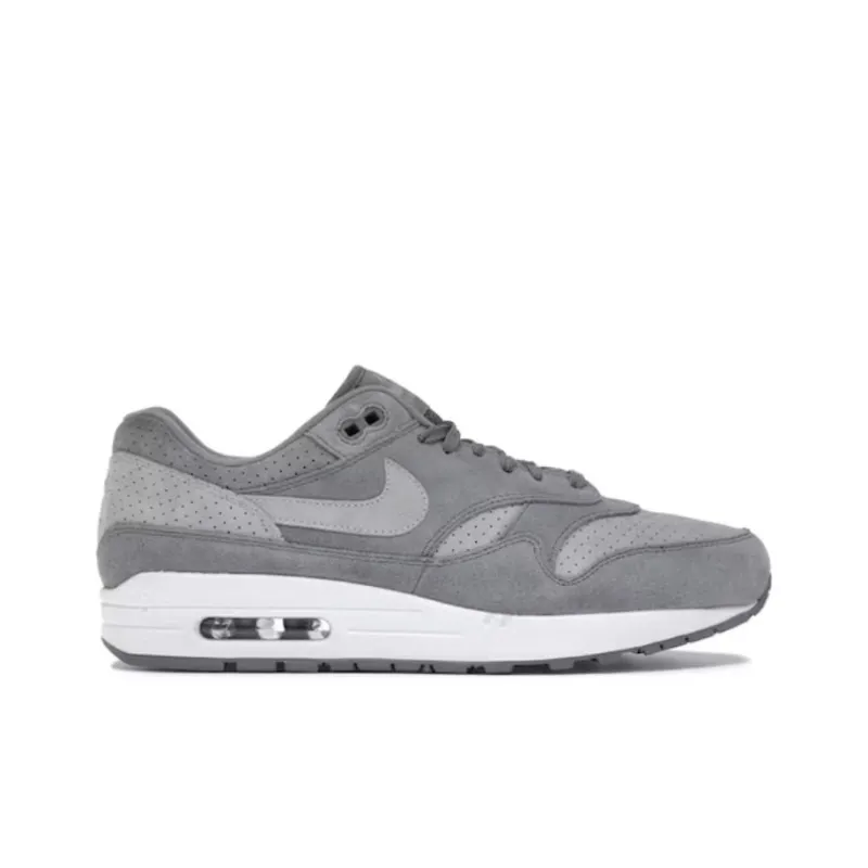 Nike Air Max 1 Cool Grey Wolf Grey-1