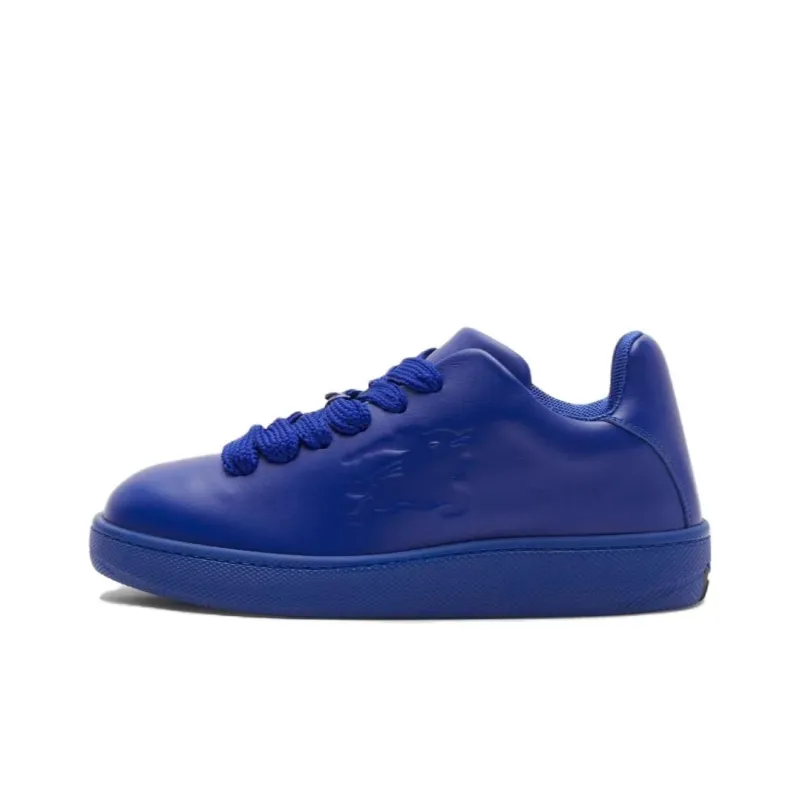 Burberry Low Top Skateboard Shoes Women's Blue-0