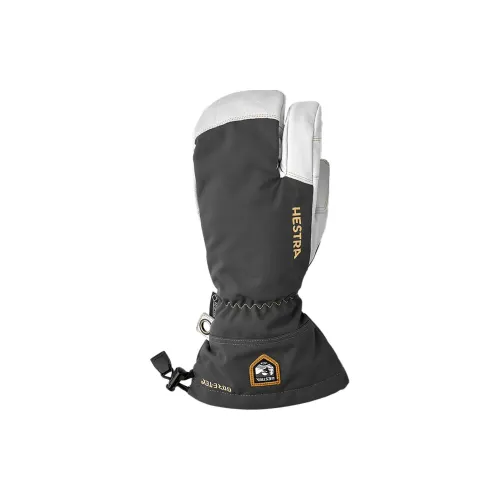 HESTRA Ski Gloves Mittens Men's